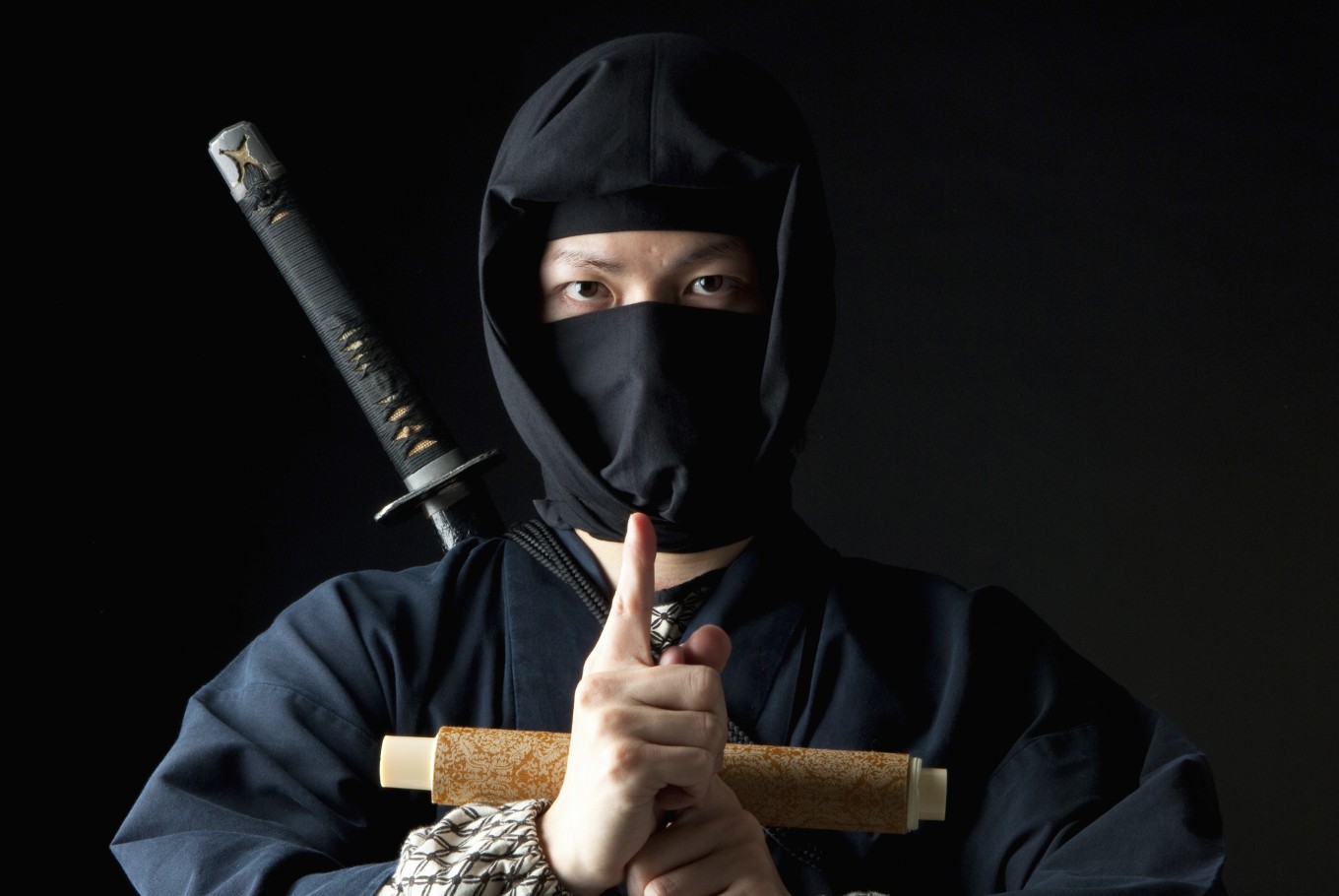 Journée Internationale du Ninja