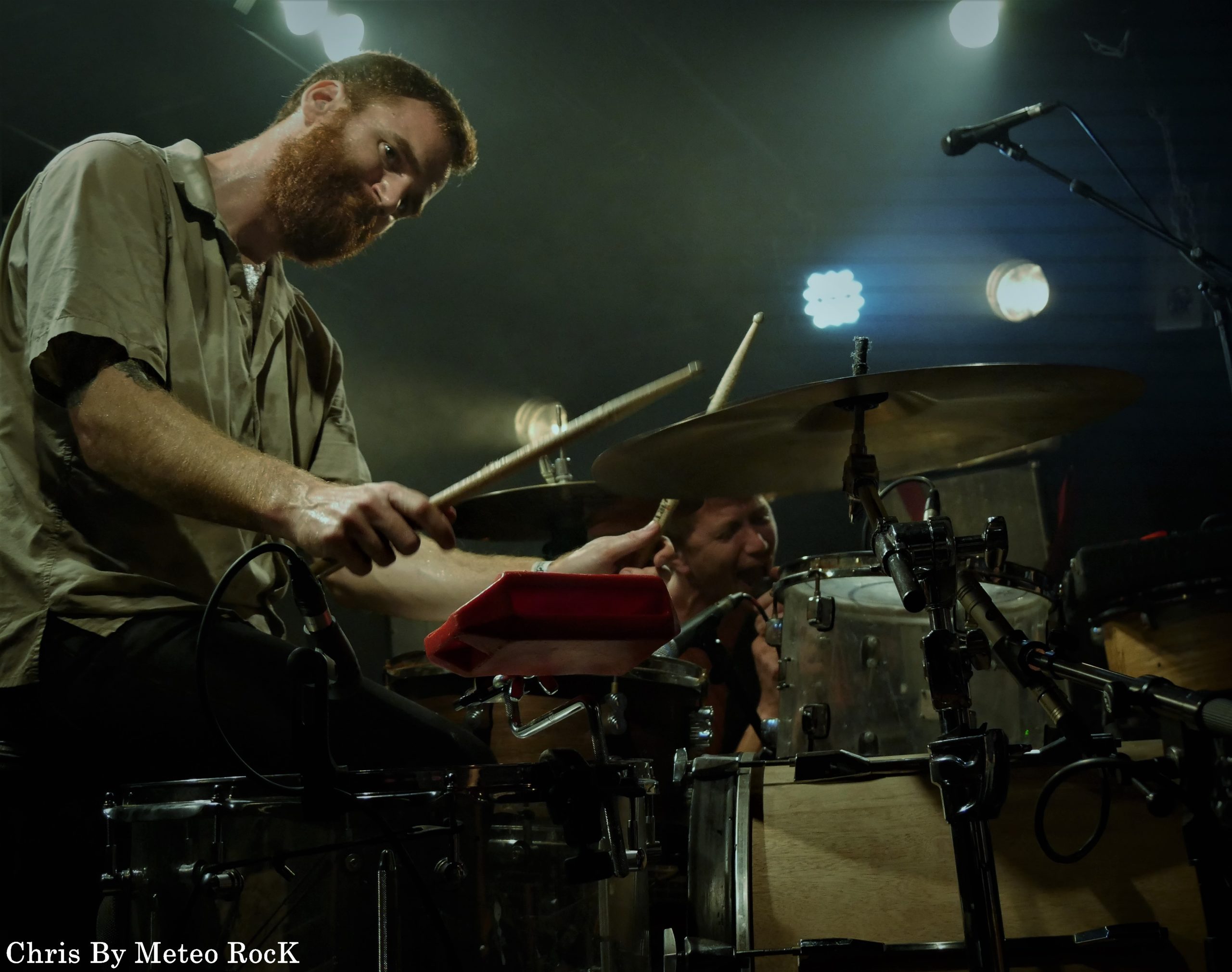 LA JUNGLE : leur concert à la Clef Saint-Germain.