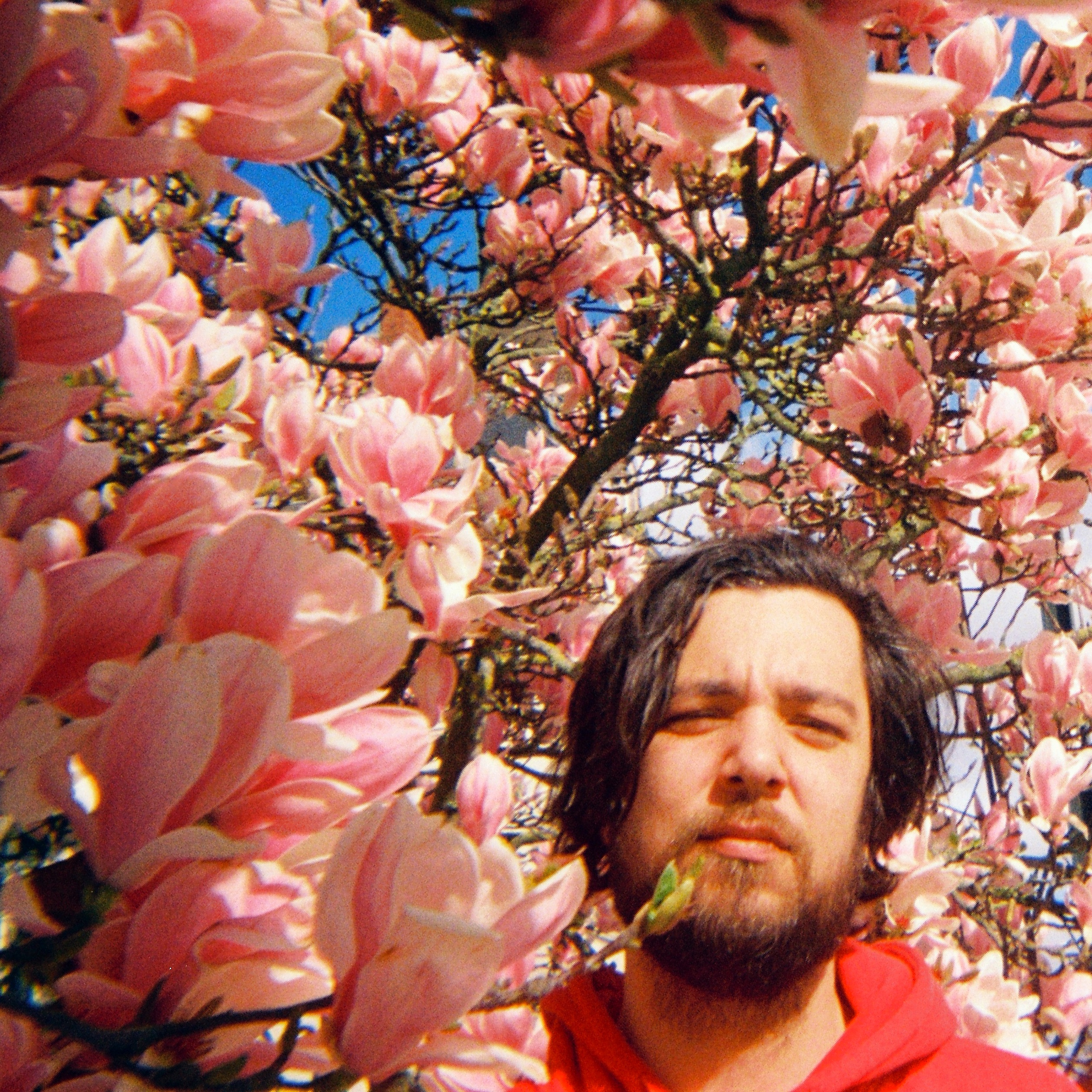 LA VIOLENCE – Nouveau clip de TEENAGE BED