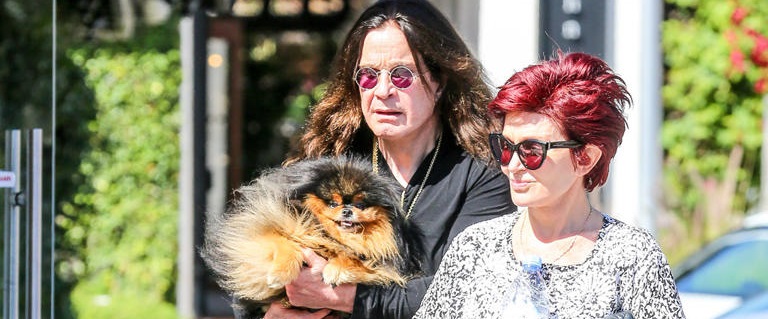 OZZY OSBOURNE pleure son chien